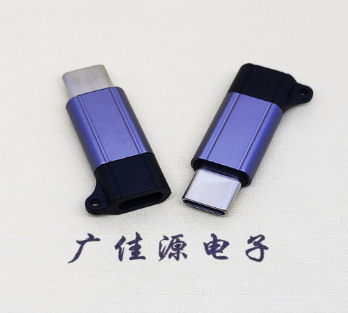 Type-C母轉Type-C公PD100W快沖接口轉接器
